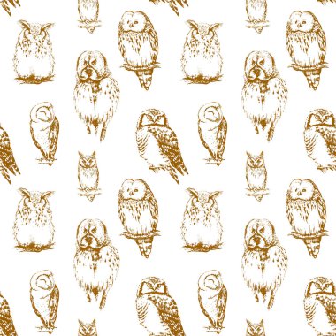 farklı baykuşlar koleksiyonu.