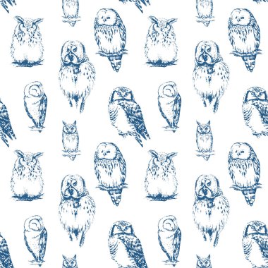 farklı baykuşlar koleksiyonu.