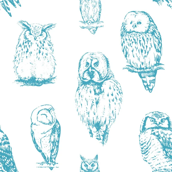 Farklı baykuşlar koleksiyonu. — Stok Vektör