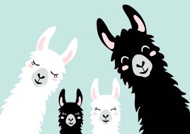 Llammas Alpaka, şirin lama. Vektör illüstrasyonu