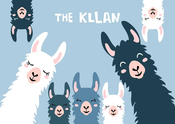 Llamas Alpacas Lindas Llamas Ilustración Vectorial — Vector de stock