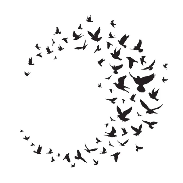 鳥のシルエットのスタイリッシュなイラストベクトルイラスト — ストックベクタ