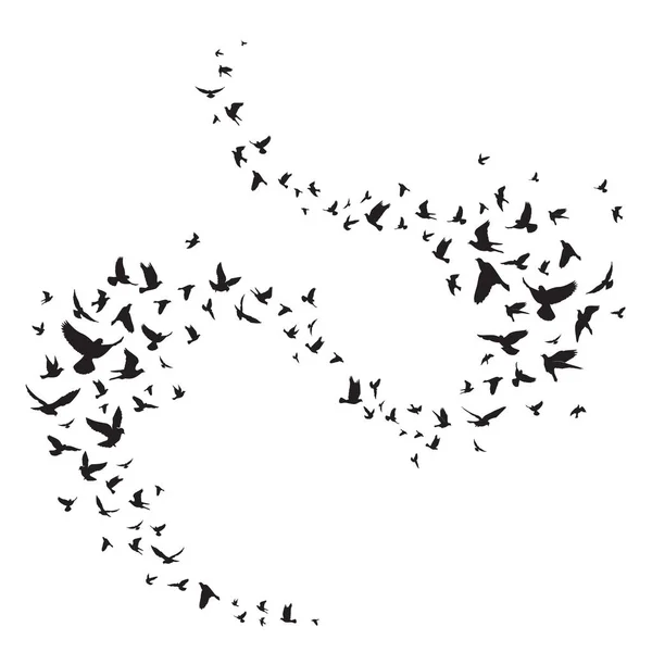 Stijlvolle Illustratie Met Vogels Silhouetten Vector Illustratie — Stockvector