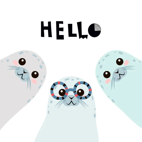 Seals Animals Cartoon Characters Vector Illustration — Stock Vector