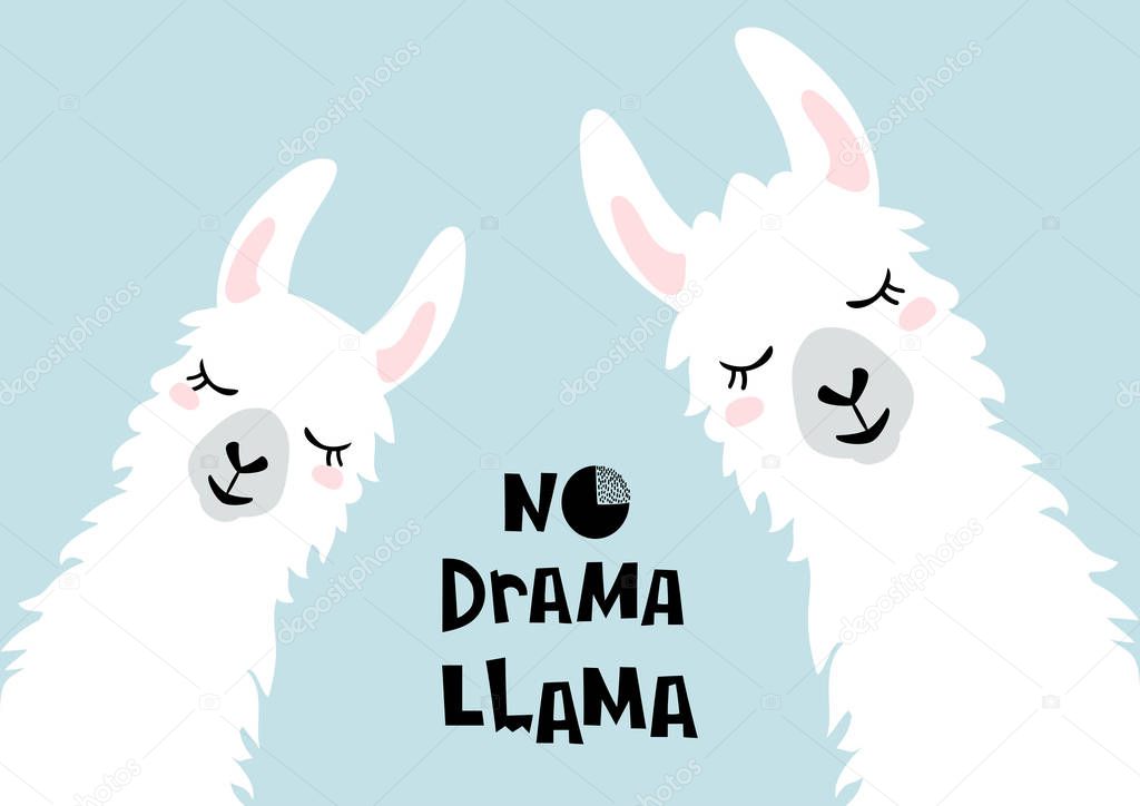 No Drama Llama. Llamas Alpacas. Three cute llamas. Vector illustration