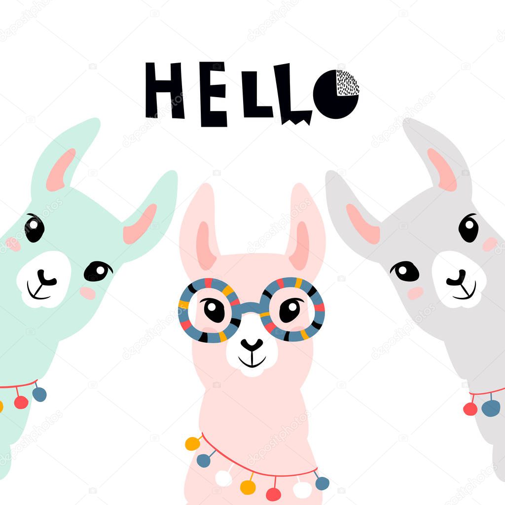 Llamas Alpacas. Three cute llamas. Vector illustration