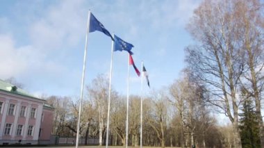 Set of flags in front of presidential house in Tallinn, Estonia, 9.2.2020 View of 4 flags : Estonian, Tallinn, Europe and Harju county.