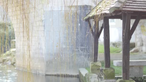 Ráno na řece Charente, kapky vody a krásné zdravé ráno, — Stock video