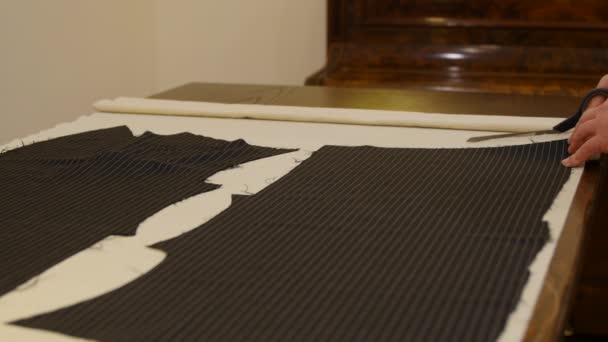 Le tailleur coupe un motif de couture à partir du matériau de la domette avec des ciseaux. ce tissu Pre Shrunk Coton Bump est utilisé à l'intérieur de la toile sur mesure. Gros plan sur le travail du tailleur . — Video