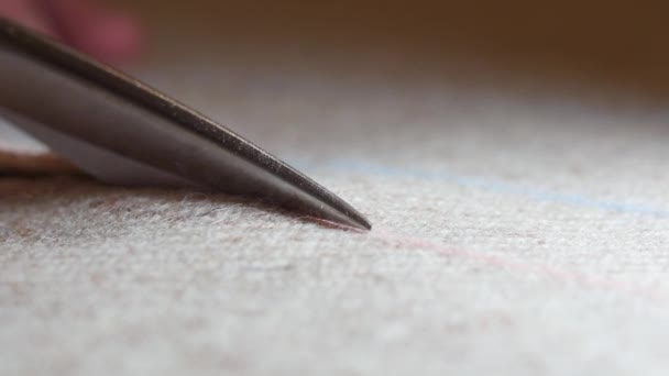 Tweed Tailoring at work, cut costume fabric with scissors according to drawn line. Fashion stylist hands with shears. beige brown tweed suit fabric made of natural wool — Stock Video