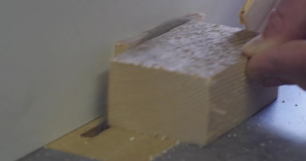 Kontrplak tahtasını dik açıyla kesen dairesel bir testerenin ön görüntüsü. Bir marangoz kompartıman tabağından bir parça kesiyor. Fabrika kesicisi ahşap atölyesinde çalışıyor. — Stok video