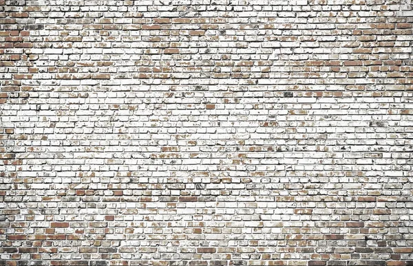 Brick wall in gray tones. — Stock Photo, Image