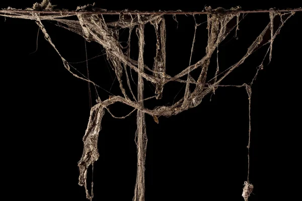 cobweb or spider web isolated on black background