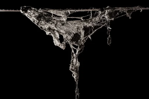 Spinnennetz oder Spinnennetz isoliert auf schwarzem Hintergrund — Stockfoto