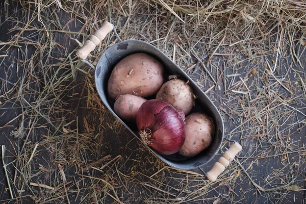 Doğal çiftçi sebzeleri.