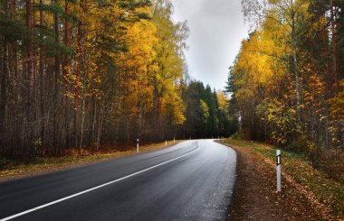 Otoban yol, renkli bir sonbahar ormanındaki 