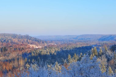 tepeler ve vadiler karlı bir kış orman kaplı 