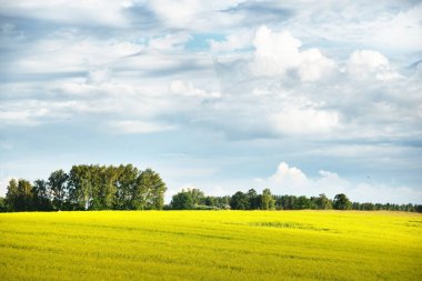 uzak çiftlik ile tarım alanı 