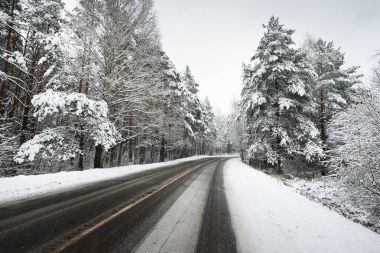 karla kaplı bir ormanda yol asfalt
