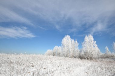 Kar ve in Rime'ı huş ağacı orman kaplı