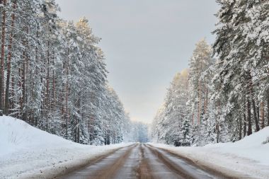Orman yolu, kış