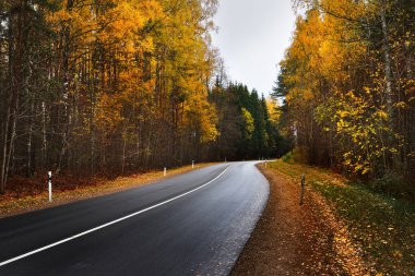 Otoban yol, renkli bir sonbahar ormanındaki 