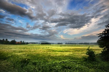 Hills arka planda yeşil tarım alanları