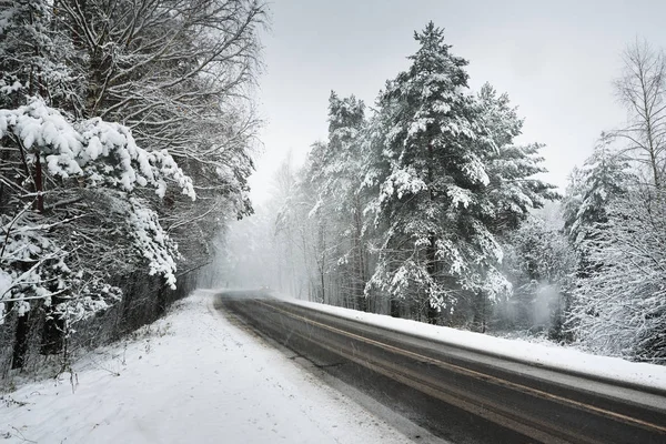 Strada asfaltata in una foresta durante una nevicata — Foto Stock