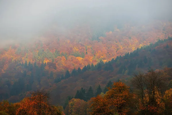 Vista del valle del río Neckar en otoño — Foto de Stock