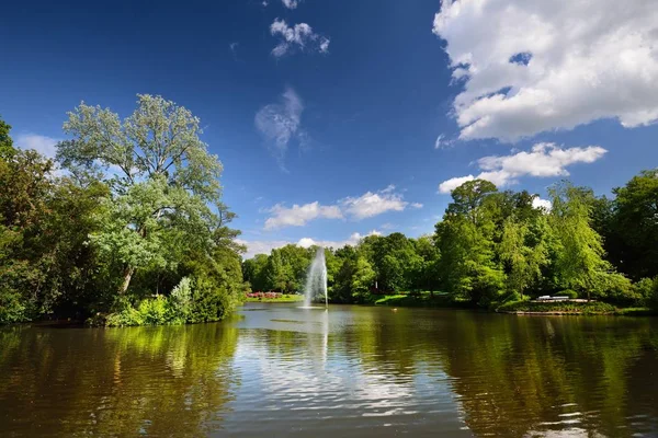 Fountaing yeşil bir çiçek açan parkta güzel bir göl manzarası