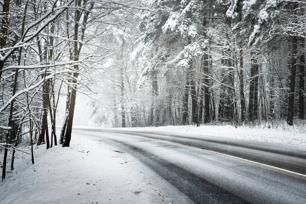 karla kaplı bir ormanda yol asfalt