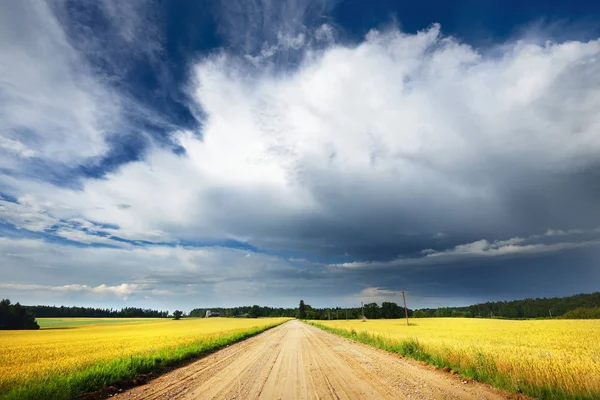 Camino de grava en campos de cultivo agrícola — Foto de Stock