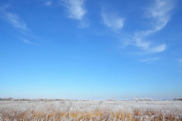 Bevroren besneeuwde weide in Russische platteland — Stockfoto