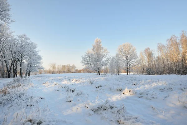 Campo cubierto de nieve paisaje —  Fotos de Stock