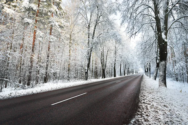 巷子里的雪覆盖树和路 — 图库照片