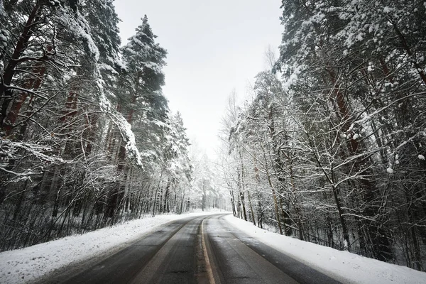 Aszfalt road, hóval borított erdő — Stock Fotó