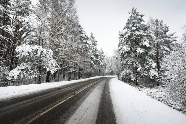 karla kaplı bir ormanda yol asfalt