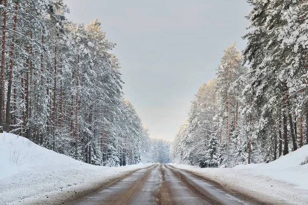 Autostrada forestale in inverno — Foto Stock