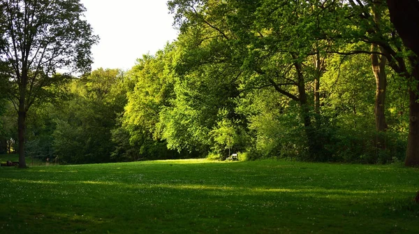 Den Haag central park — 图库照片