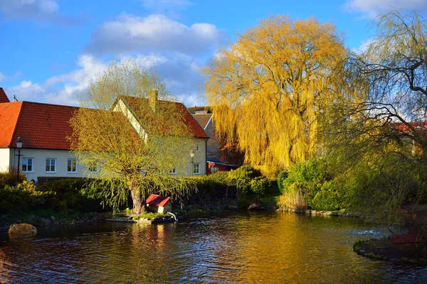 Evler ve bir Gölü söğüt ağaçları
