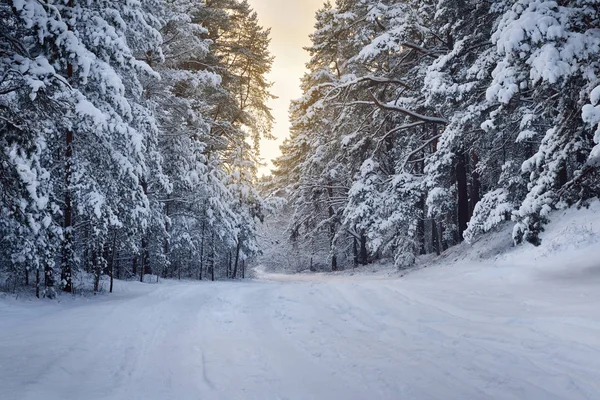 Estrada rural através de um país das maravilhas de inverno — Fotografia de Stock