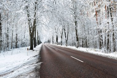 Kar sokak ağaçları ve yolun kapalı