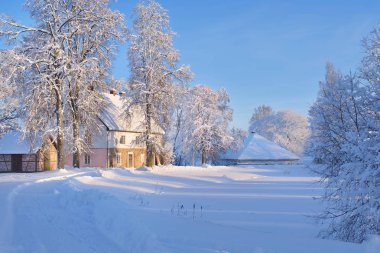 Kırsal cottages ile kış manzarası 