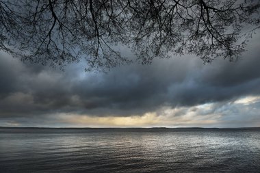 Fırtına sırasında ağaç dalları ile göl manzara