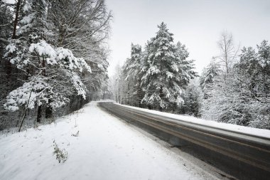 karla kaplı bir ormanda yol asfalt