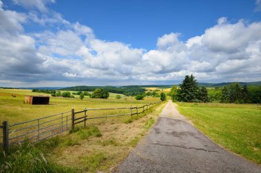 Kırsal yol ile yeşil yaz alanlar