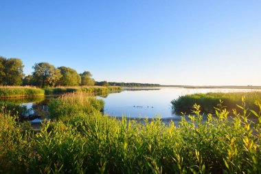 Sakin Gölde ördekler uzak bir sürü