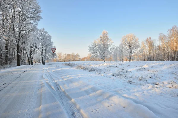 Manier teken op een bos weg te geven — Stockfoto