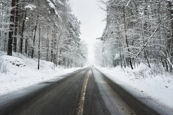 Асфальтована дорога в лісі під час снігопадів — стокове фото