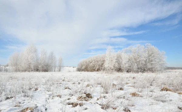 Kar ve in Rime'ı huş ağacı orman kaplı — Stok fotoğraf